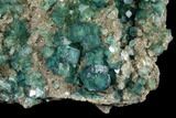Large, Wide Plate of Green Fluorite Crystals on Quartz - China #128813-2